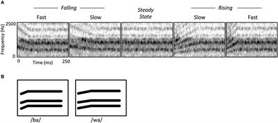 Sensitivity of human auditory cortex to rapid frequency modulation revealed by multivariate representational similarity analysis